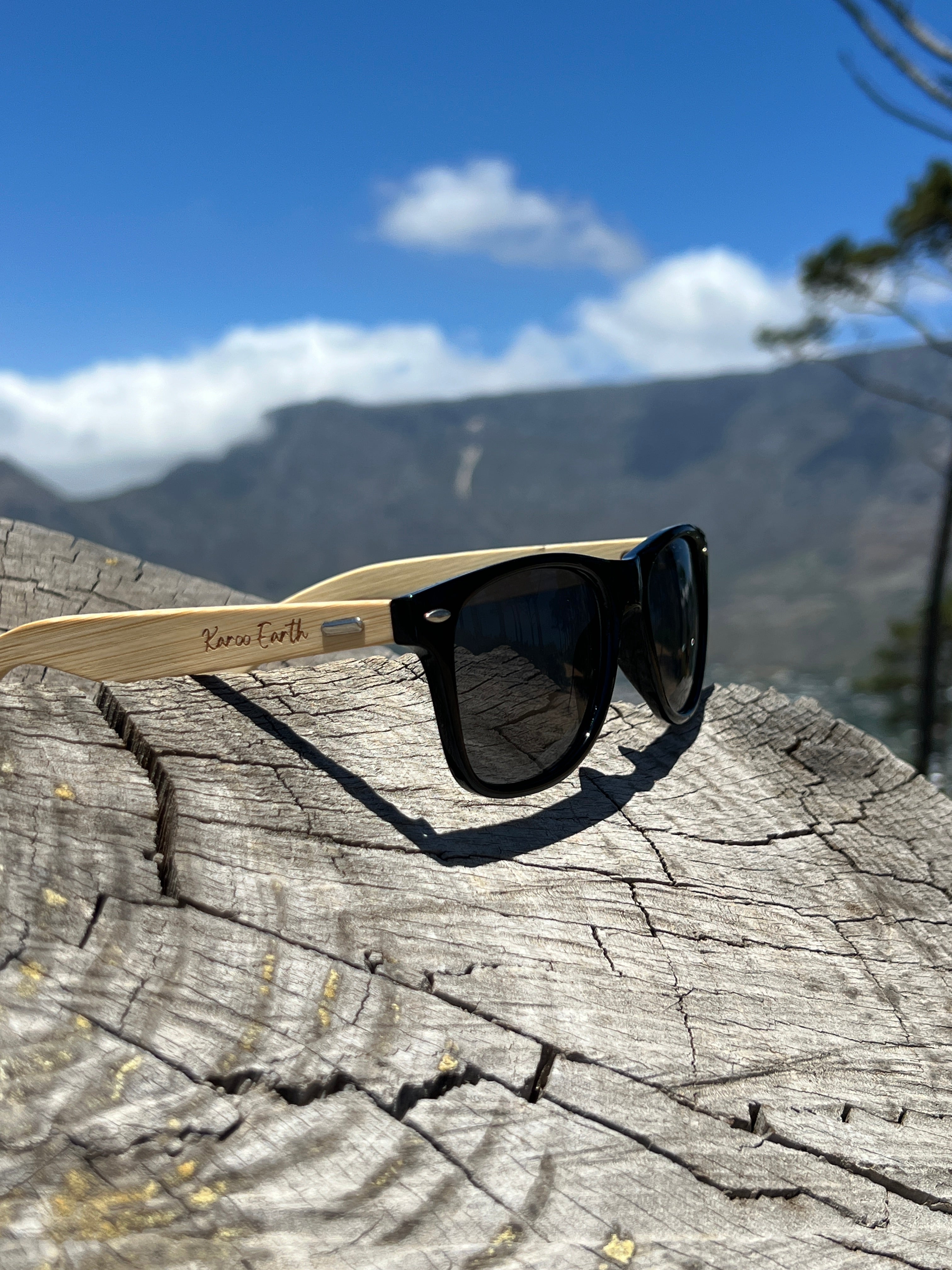 Sunglasses - Karoo Earth
