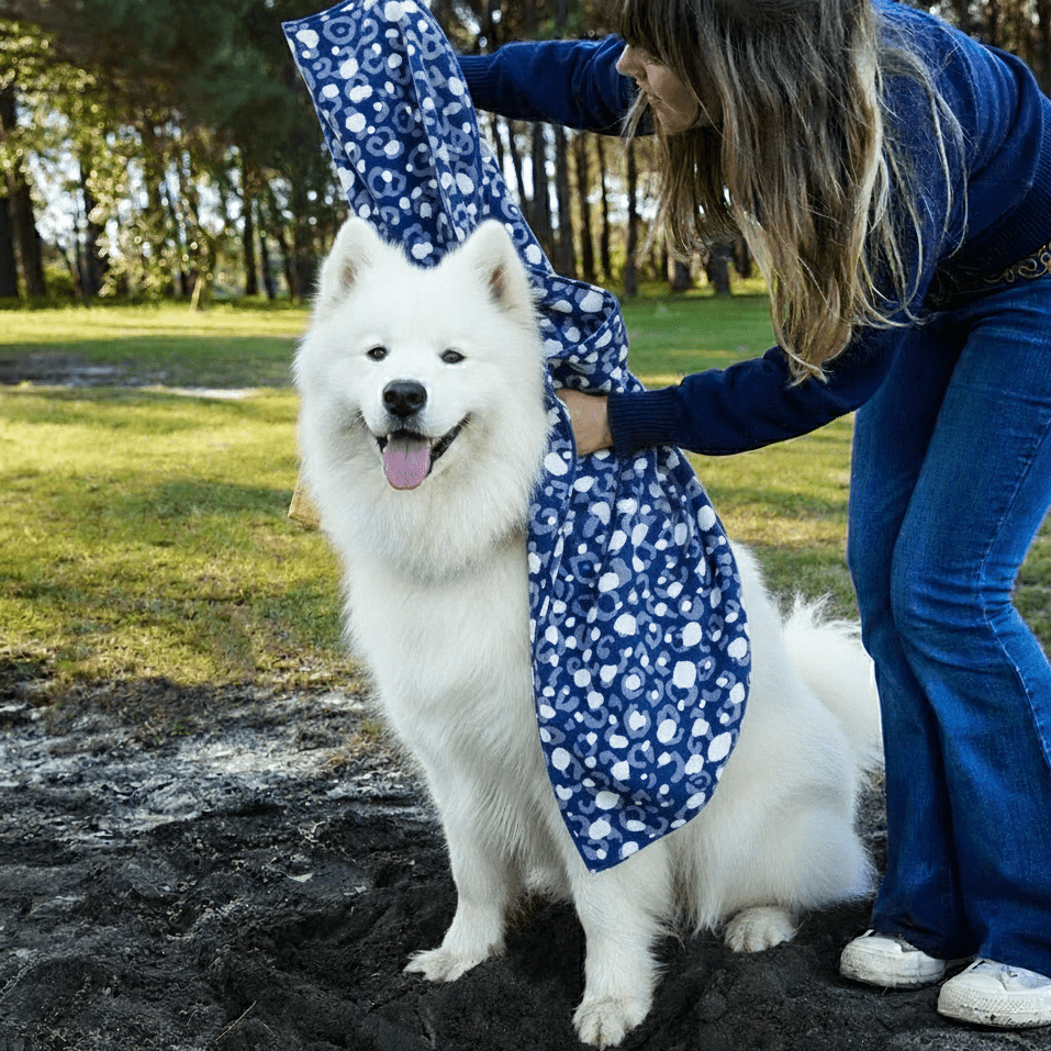 Blue Tidal Quick Dry Dog Towel - Karoo Earth