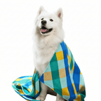 Green & Blue Tartan Dog Towel - Karoo Earth