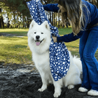 Quick Dry Dog Towel - Blue Tidal Splash - Karoo Earth