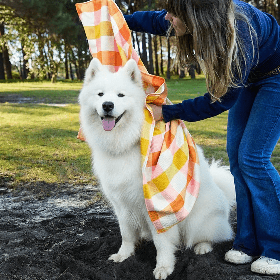 Quick Dry Dog Towel - Red and Yellow Tartan - Karoo Earth