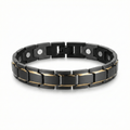 Titanium Steel Link Magnetic Bracelet with Gold Accent - Karoo Earth