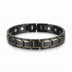 Titanium Steel Link Magnetic Bracelet with Gold Accent - Karoo Earth